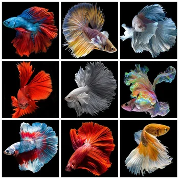 Huacan 5D DIY Diamond Slikarstvo Ribe Umetnosti Kompleti Diamond Mozaik Prodaja Živali Slike Okrasnih Nov Prihod 0